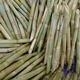 Fresh sugar cane stalks exporter