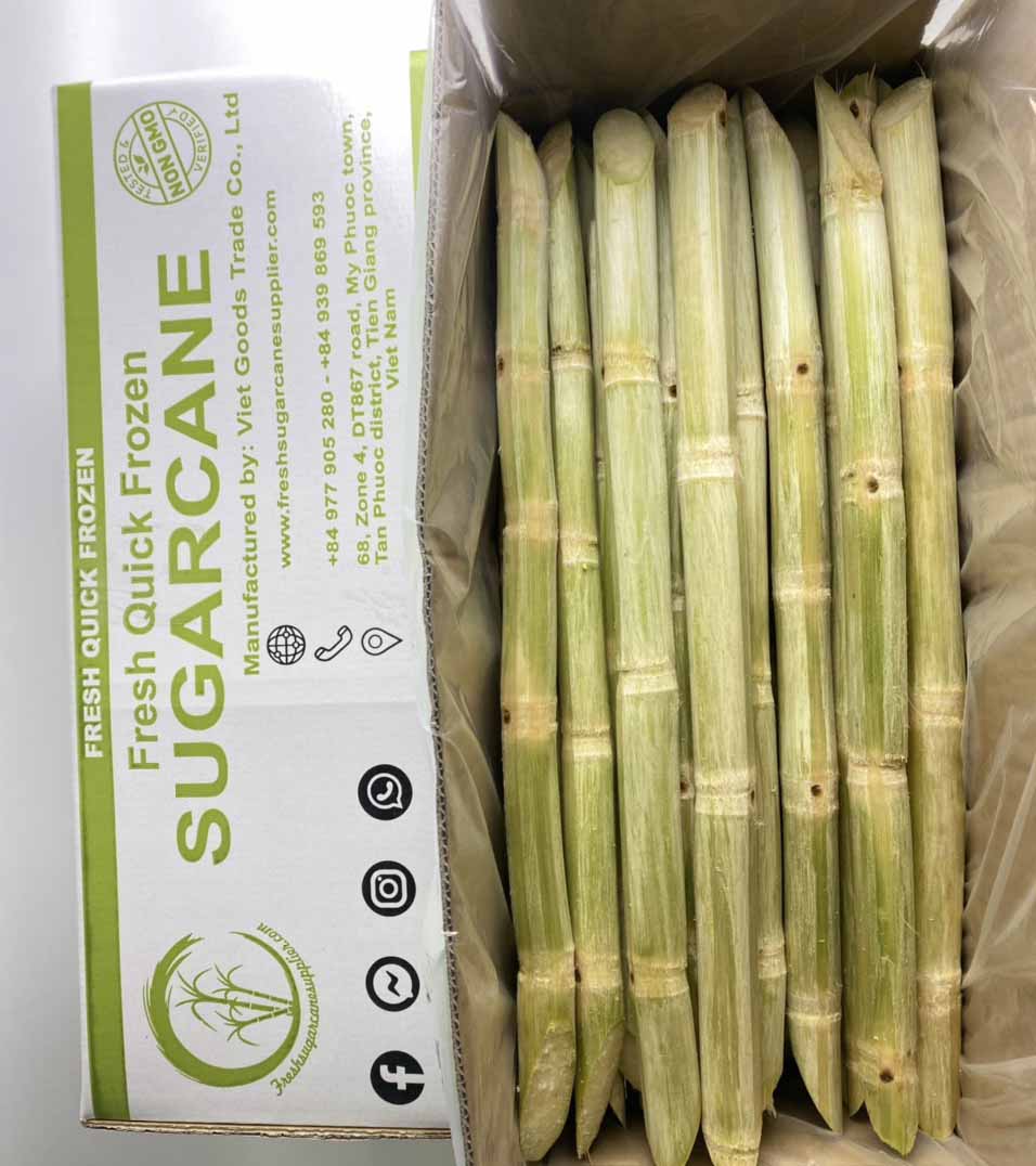 Frozen sugar cane