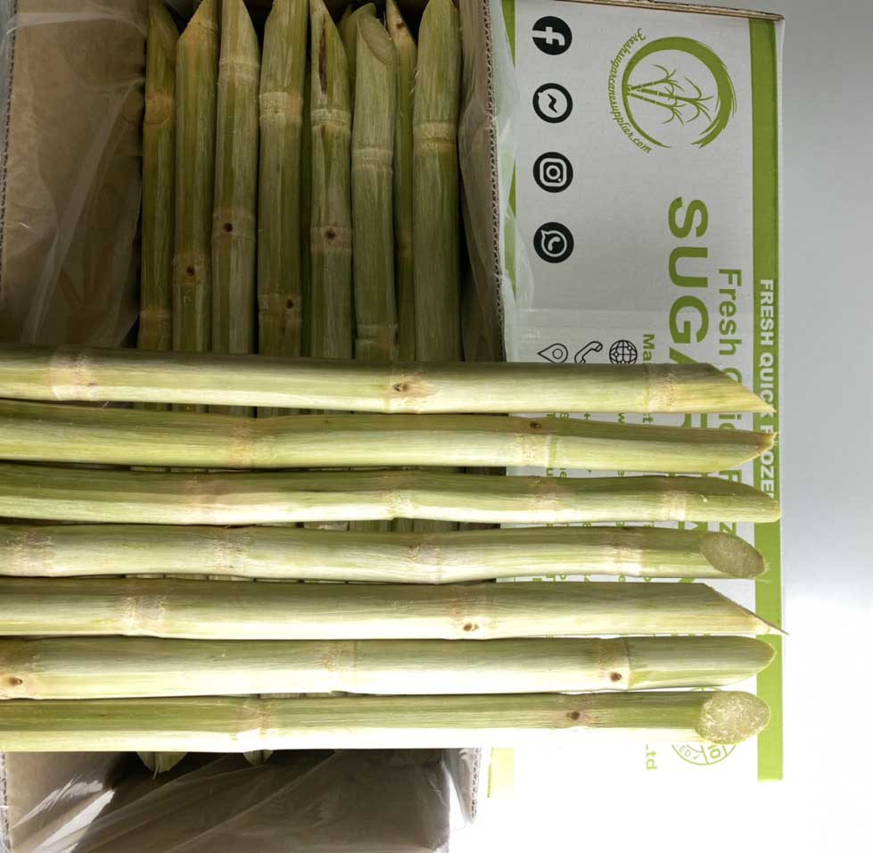 raw fresh sugarcane for export